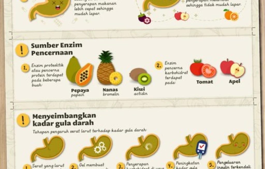 Buah untuk pencernaan