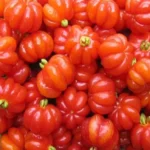 Manfaat Buah Dewandaru
